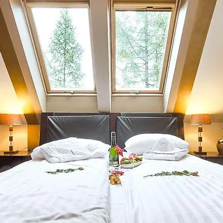 Visitzakopane - Mango *